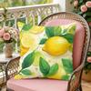 Lemon Fashion Cushion Cover Soft Plush Throw Pillow Cover DoubleSided Decorative Cushion Case Sofa Bedroom Home Decor