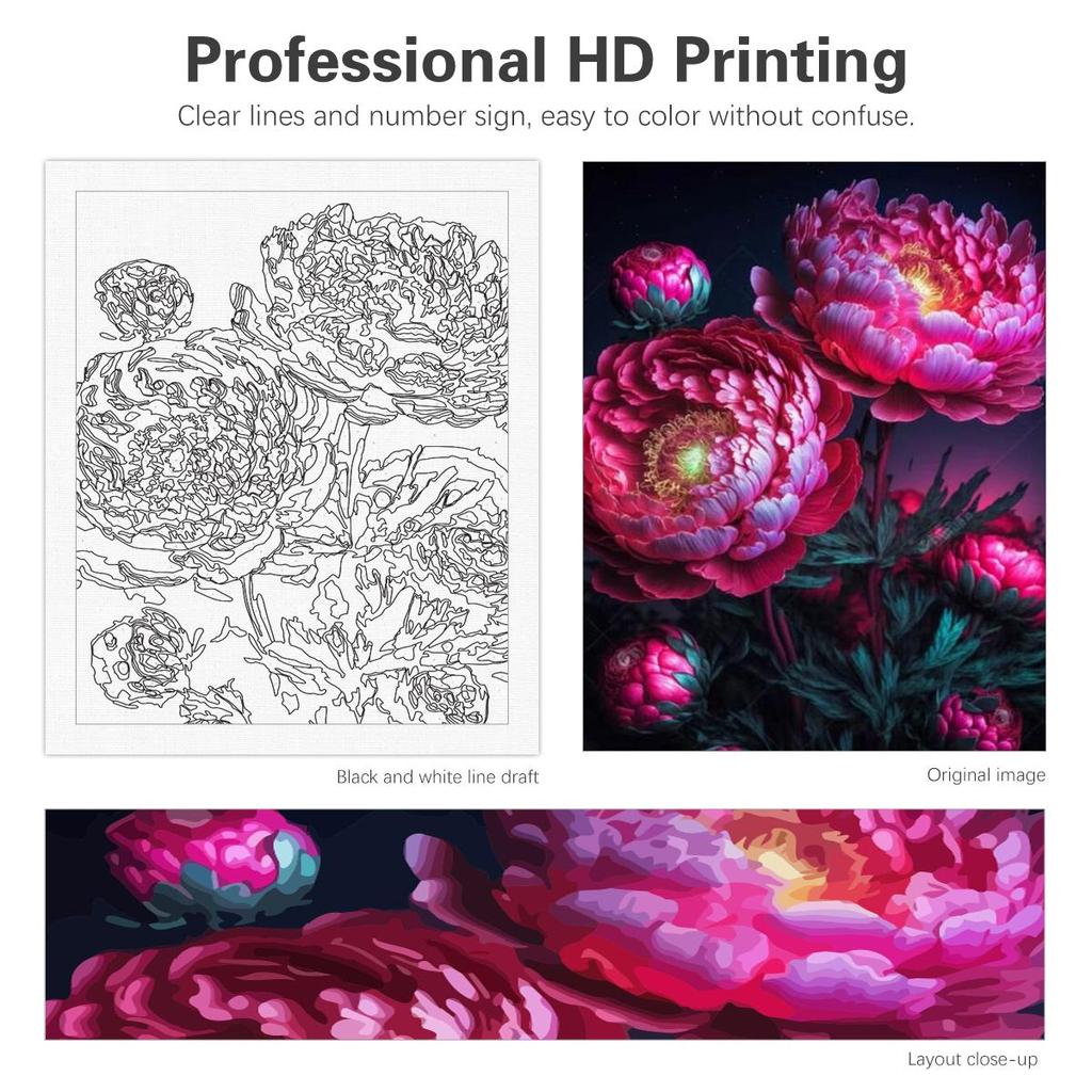Rám Květiny Malování podle čísel Pro dospělé Sady pro začátečníky Akrylová barva na čísla Pro domácí umělecká řemesla 40x50cm
