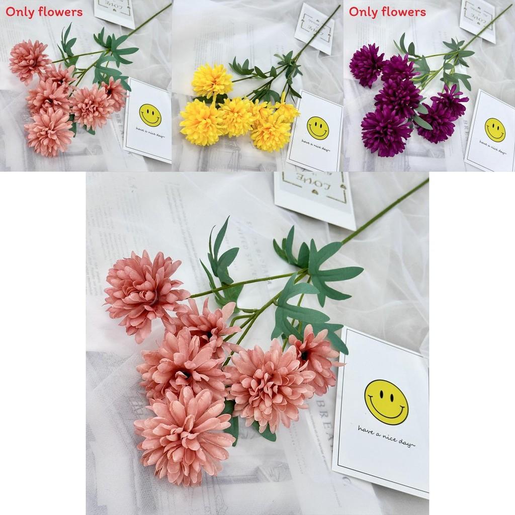Realistic Fake Epaltes Australis Arrangement For Diy Home Decoration And Photography Props