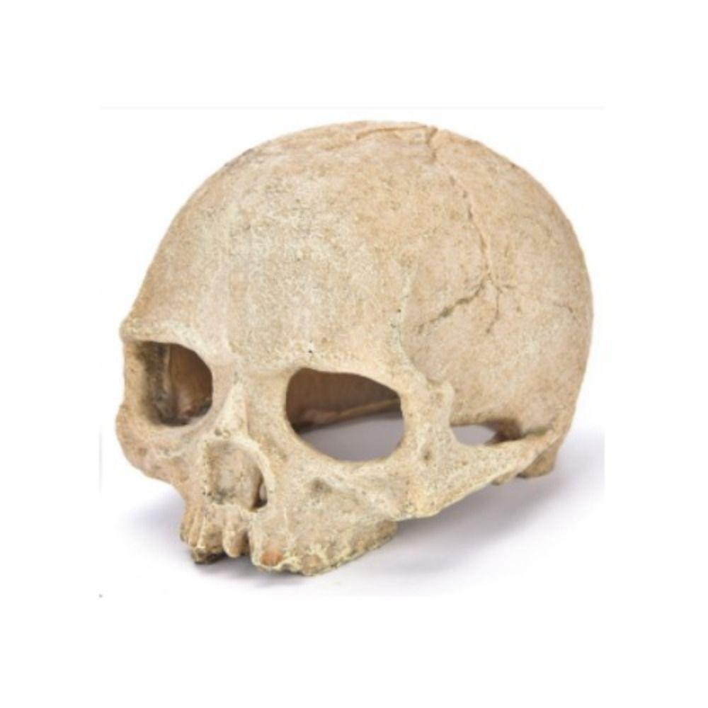 High Simulation Aquarium Decorative Skull Design Resin Skeleton Fish Tank Landscape Fish Tank