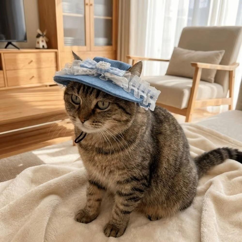 Andningsbar Hund Baseballkeps med Öronhål Valp Denimkeps Söt Husdjur Solhatt Katt