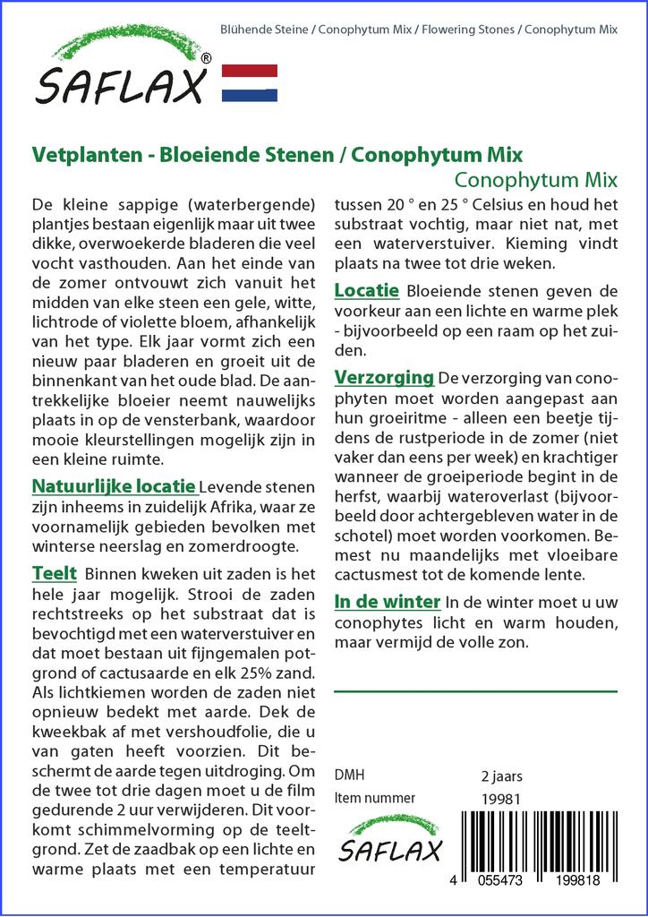 SAFLAX Garden In the Bag - Flowering Stones / Conophytum Mix - 40 Seeds - With Substrate In a Fitting Stand Up Bag - Conophytum Mix