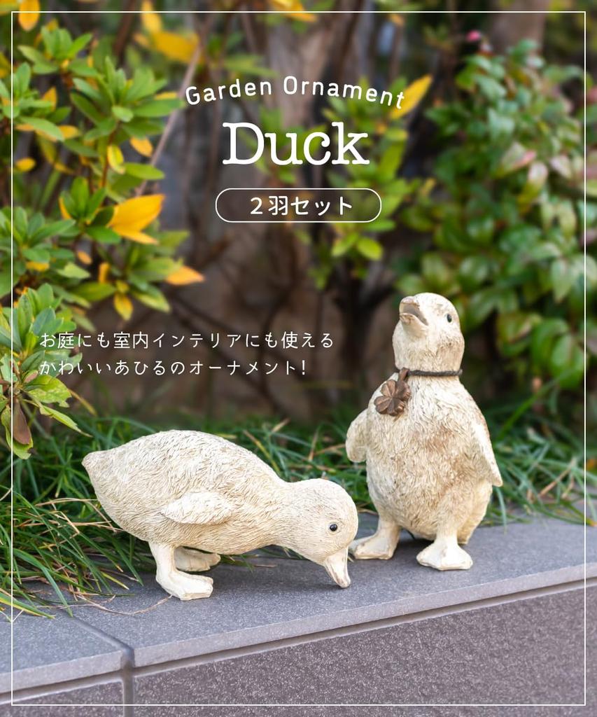 Duck Bird Garden Decorative Cute Set of 2 for Ornament, Figurine, Item, White, (Perfect Children)