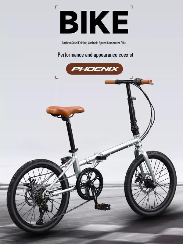 Phoenix ZD01 Folding Bicycle