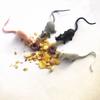 10 Stück Scherz-Mini-Maus-Modelle und weiße Spinnen-Requisiten Horror-Parodie Halloween Aprilscherz-Spielzeug Plastik-Tierbilder