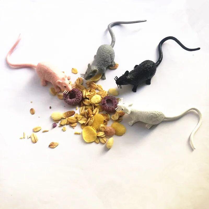 10 Stück Scherz-Mini-Maus-Modelle und weiße Spinnen-Requisiten Horror-Parodie Halloween Aprilscherz-Spielzeug Plastik-Tierbilder