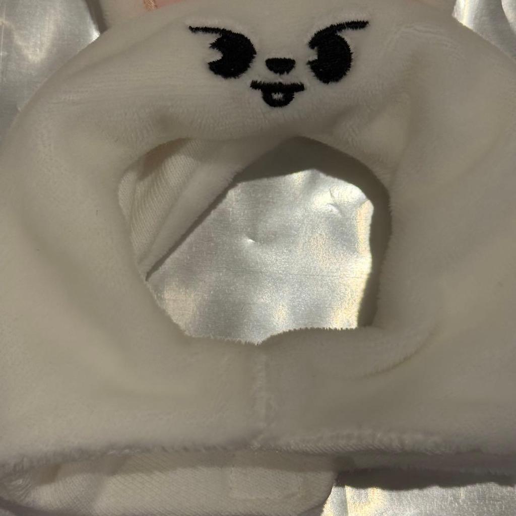 [USED] Reno Leavitt Penlight Cover Ver.2 Stray Kids