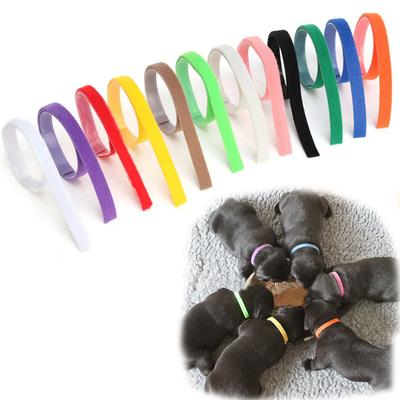 Köpek – Köpek Tasmaları ve Tasma Kayışları