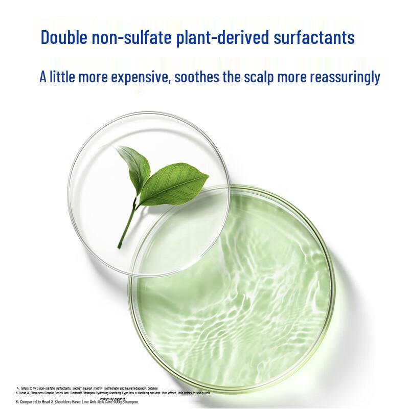 Head & Shoulders Anti-Dandruff Oil Control Shampoo (400g)