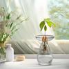 Creative Transparent Long Oval Avocado Hydroponic Vase Avocado Seeds Hydroponic Vessel Flower Pot for Gardening Home Decor