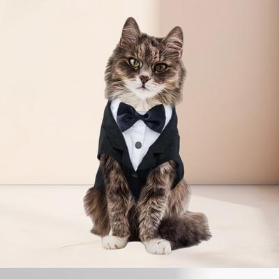 Hochzeitskleid mit Krawatte Katze Geburtstag Frack Kleidung Formelle Kleidung Kleines Haustier Weste Hochzeit Geburtstag