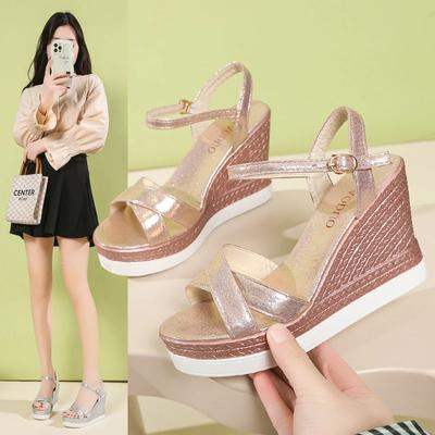 2025 New Thick Soled Fishmouth 4 Shoes Roman High-heeled Fashion Fairy Women's Shoes