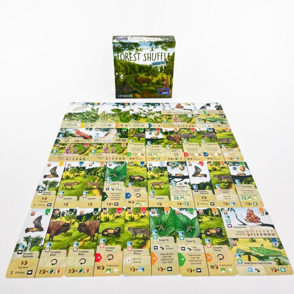 Forest Shuffle Card Family Game for Kids Adults Woodland Edge Party Board Games