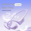 Gamma S1 Bone Conduction Swimming Headphones