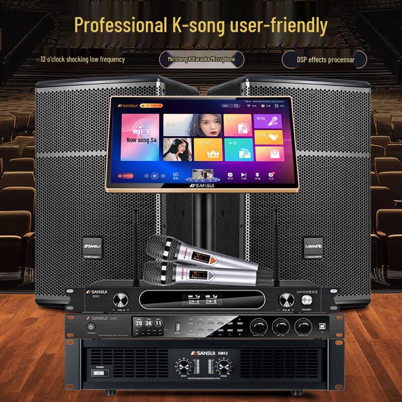 SANSUI SQ12 High-Power Home KTV Karaoke System CN Plug (adapter Included)