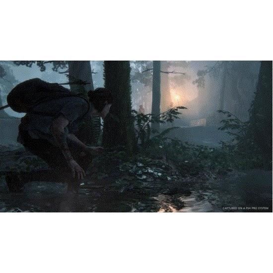 The Last of Us Part II Jeu PS4