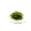 Miniature Vegetation Scene Model Simulation DIY Sand Table Grass Cluster  Landscape Decoration