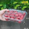 Disposable Round Plastic Fruit Container