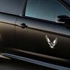Fashion Eagle Car Body Sticker Wild Animal Decorative PET Reflective Auto Decal