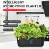 Hydroponics Growing System Plant Hydroponics System Growing LED Light Soilless Smart Planting Machine Self Watering Gardening