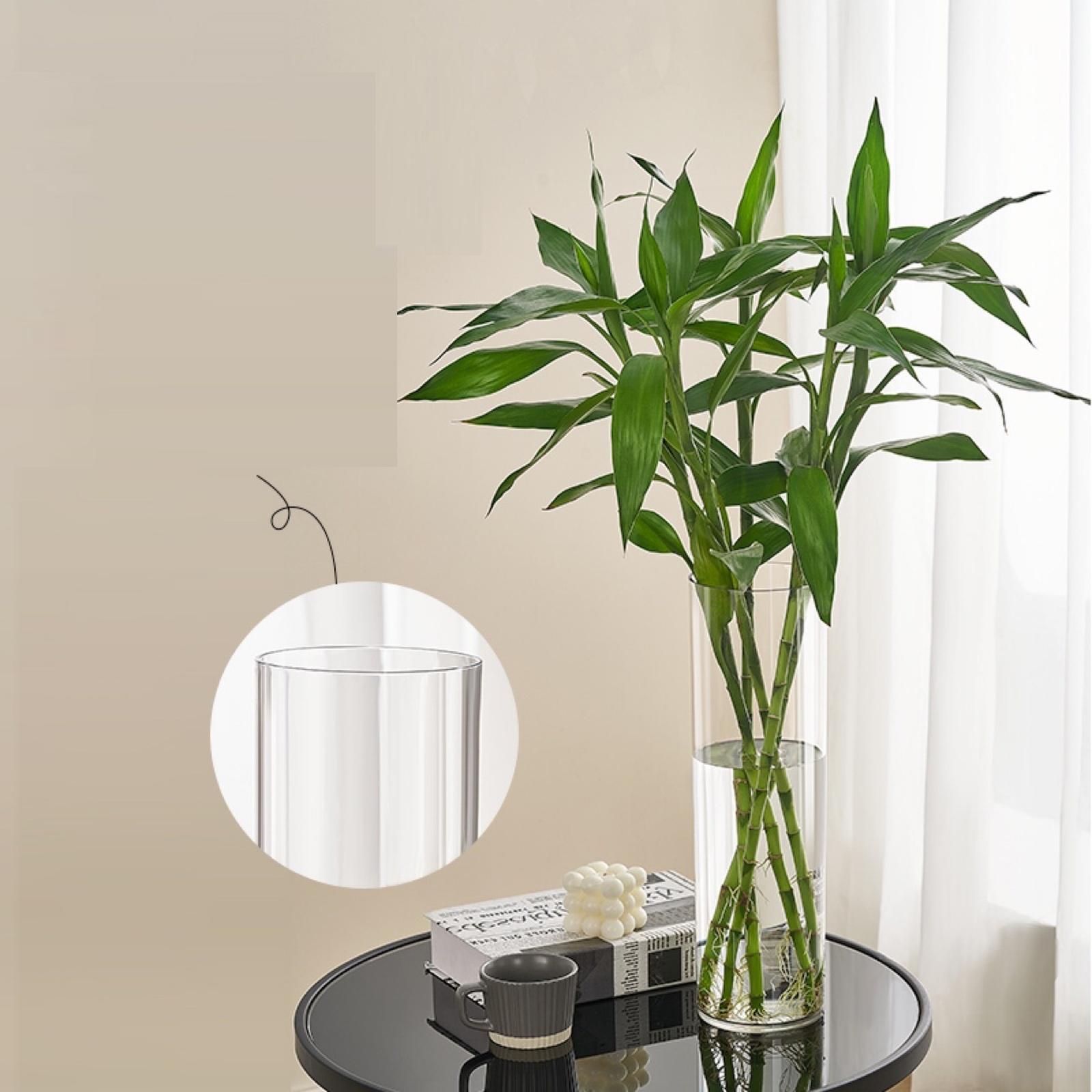 Acrylic -Fall Vase Transparent Cylindrical Flower Vase for Hydroponics Home Decor one size