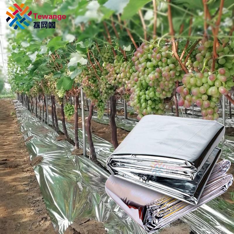 Outdoor Double Side Reflective Mylar Film Patch Greenhouse Agricultural Silver Coated Mulch Fruit Promoting Red Warm Blanket 1x5m