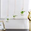 Transparent Hanging Tealight Holder Clear Succulents Plant Ball Container  Office Decoration