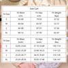 New 3Pcs/Set Sexy Lace Floral Panties For Women Low Waisted Thongs Briefs Sets Fashion Cozy Transparent Intimates Lingerie S-XL