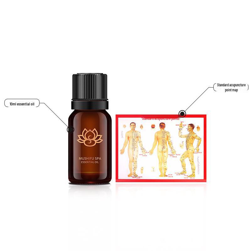 Dragon Ball Abdominal & Meridian Massager: Tendon Rolling Brush with Magnetic Ball Roller