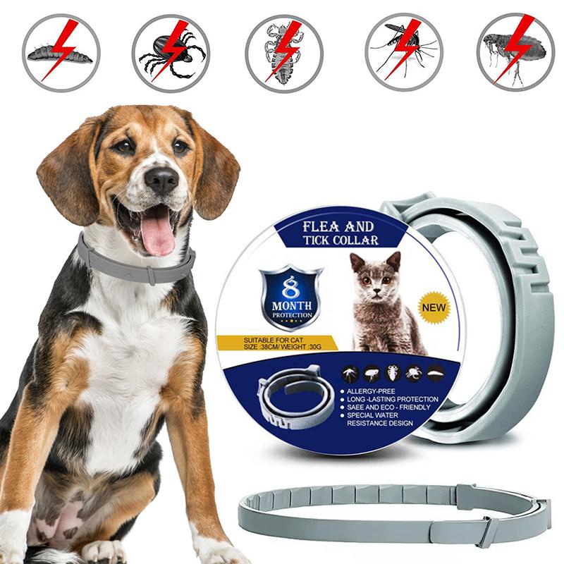 Buy Dog Insect Repellent Collars Flea Tick Cat Collar Adjustable Pet Collar at affordable prices