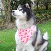 Pet it birthday party dog triangle towel adjustable cute pet saliva towel pet party decoration