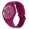 Authorized Ice Watch Women's Watch 018647 ICE grace Classy Red Medium
