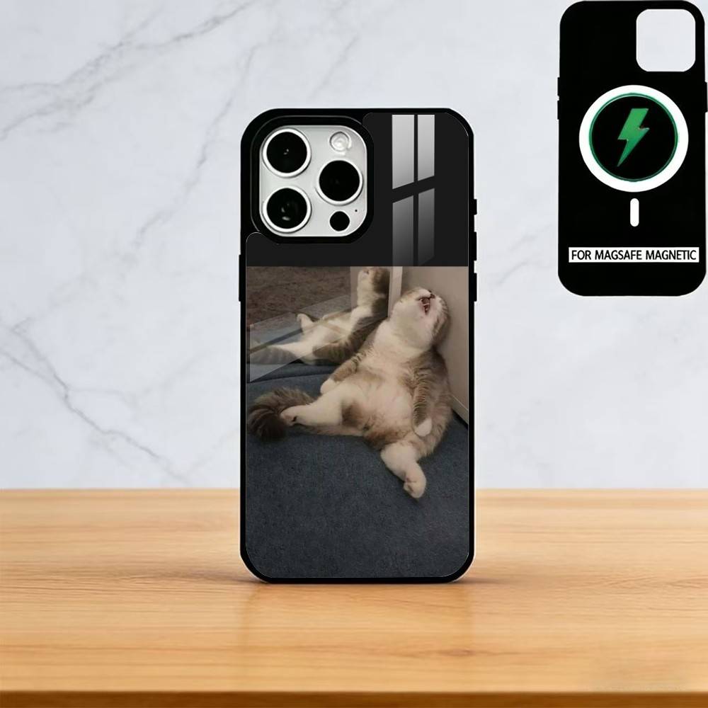 Pet Cat Funny memes Phone Case For iPhone17,16,15,14,13,12,11 Plus,Pro Magnetic with Magsafe Wireless Charging