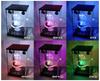Lumica Glowing LED Display Case for Your Favorite and Perfect for Live and Summer Vacation Fans, Penlights, Flashlights, Concerts, Events, Festivals,