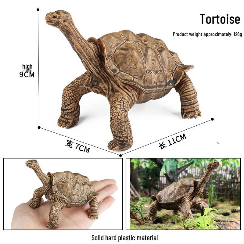Cross-Border Children's Cognitive Amphibian & Reptile Tortoise Model Fish Tank Ornament Toy