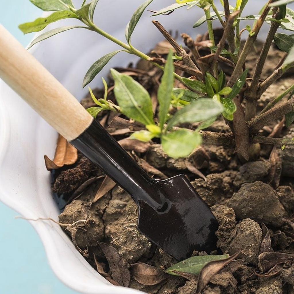 3-Piece Mini Garden Tool Set - Metal Hand Trowels and Rake for Potted Plants, Flowers & Vegetables - Manual Gardening Supplies for Indoor and Outdoor