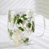 Double-Wall Dried Flower Glass Mug with Handle 350ml Borosilicate Glass Coffee Cup for Hot Cold Drinks Heat-Resistant Clear Unique Gift for