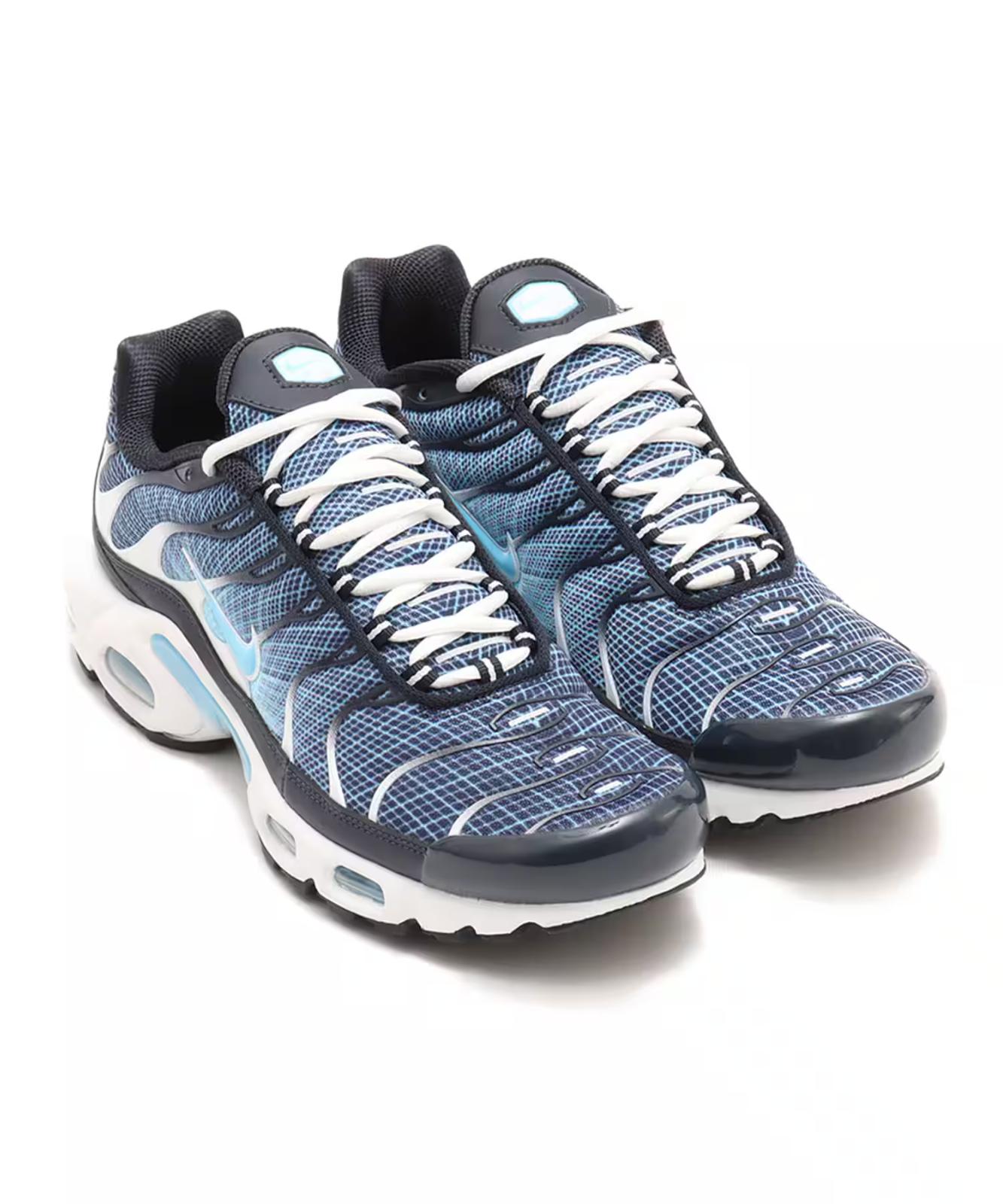 IH4460-400 Nike Air Max Plus Dark