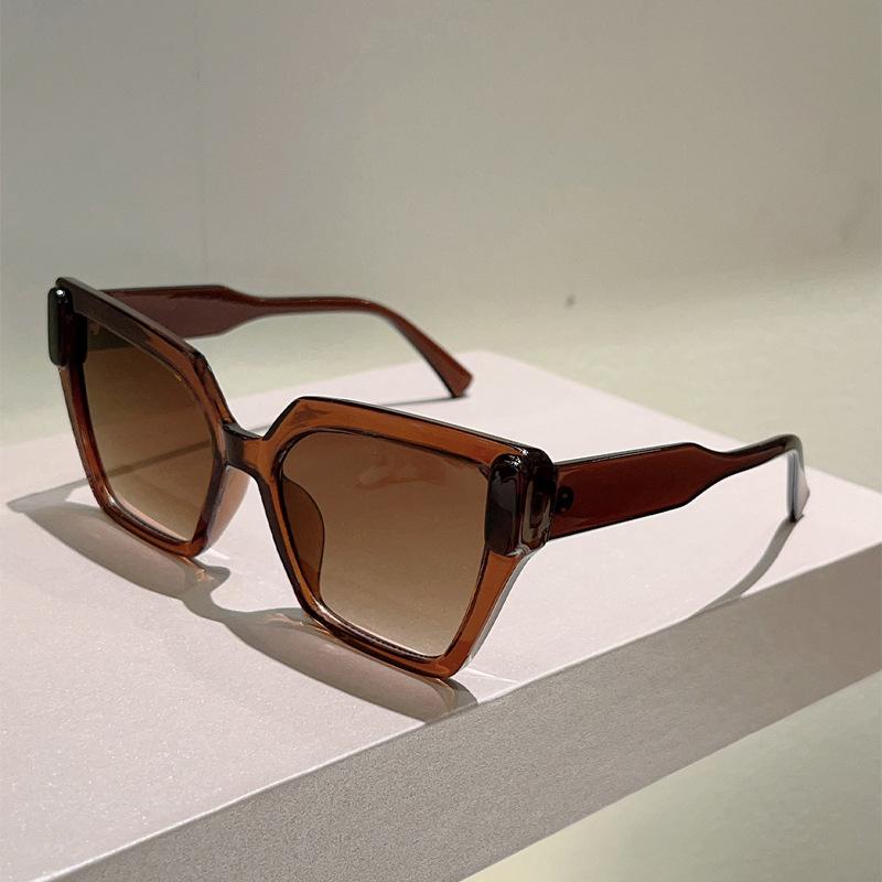 Luxury Designer Cat Eye Sunglasses Women Vintage Punk Double Color Big Frame UV400 Sun Glasses Elegant Lady