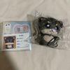 Used RIIZE Rise Eun Seok Plush Toy
