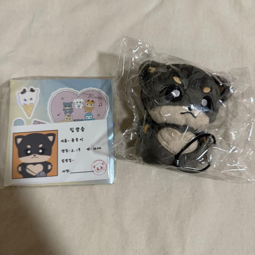 Used RIIZE Rise Eun Seok Plush Toy