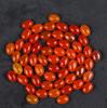 Orange Carnelian Cabochon Gemstone Lot – 14x10mm Oval Cut Crystals