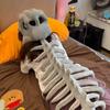 Halloween Dinosaur Skeleton Spine Costume Prop for Stage Outdoor Events