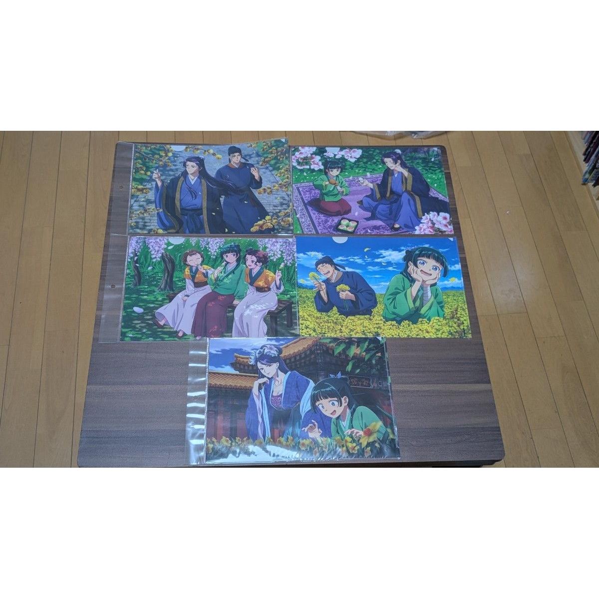 Used Pharmacist s Soliloquy Clear File Set of 5