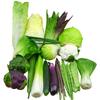 Bionic Fake Vegetable Model Scene Layout Kitchen Decoration Photography Props Garden Soft Decoration Simulated Vegetables