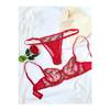Cherry Red Tanga Pantyon Bra Set