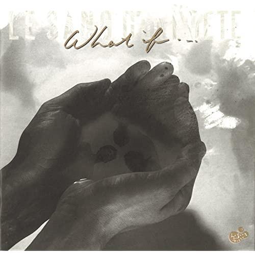 

CD POETS BLOOD LE SANG DUN POETE What if ESCB1009 Epic 1989 Japan ObiPop Used