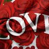 3pcs Valentine'S Day Gifts Bedding Set Romantic Rose Love Letter Pattern Duvet Cover Set Queen King Size Gifts for Lover