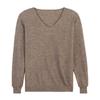 Autumn and Winter Pullover Knitted Sweater Women's V-neck Slim Bottoming Shirt