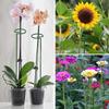 Plant Support Stake Tomato Twist Stakes for Climbing Plants Spiral Plant Support Tower Orchids Flowers Set Home Supplies